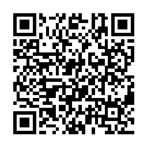 您在租界恐怕不了解苏州于短短几个月内发生的变化二维码生成