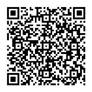 您就……别这样安排……罚什么都好……要不然罚抄书……儿子……儿子看着婉宁……二维码生成