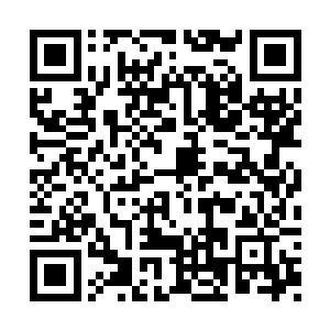 您息怒……我的确有派艾德林去保护好蔷薇小姐二维码生成