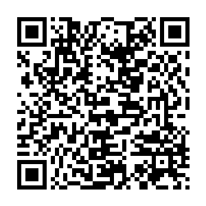 您来啦这位诸葛红叶小姐就是我准备献给您当第十二房小妾的美女……二维码生成