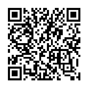 您约好的轻工业学院黄院长和艺校金校长他们都已经到了二维码生成