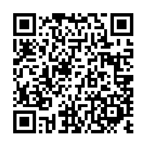 您能不能不要……不要治他的罪……他是为了救我们才……二维码生成