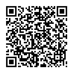 惊怒回身攻击的池青天只看到满目的血色和一只怪异的悬浮在空中的小手二维码生成