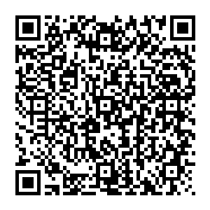 惨叫传來 但却是已经飞出老远 一直砸在地上翻了好几个滚才堪堪停止 良久之后才缓缓爬起來二维码生成