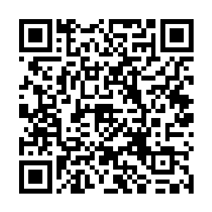 惨状各异的尸体和并未完全死透的士卒们的痛苦惨叫声二维码生成