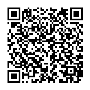 想不引起某些苍蝇的注意都很难……所以秦方他们根本不需要去主动招惹杨少二维码生成