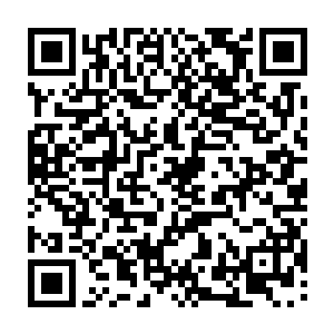 想从一个杀手口中得到有用的消息比逼供一个特种兵的难度实在要大上许多二维码生成