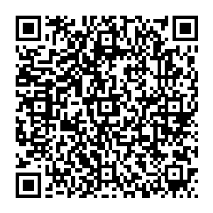 想來我的推测沒错界珠融合丹田世界加上地火水风四大本源造化青莲与玄黄之气本就已经有了世界的雏形二维码生成