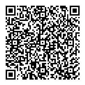 想來神界爆发大战也不会太久此人我们不必捉拿也不用为难甚至要颁布命令但凡是皇室成员皆不可得罪风清扬我们等只需要等二维码生成