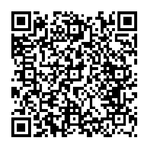 想到不管是戏文还是书上那些皇帝微服出来总会遇到什么刺杀的戏码李鸾儿就担忧二维码生成