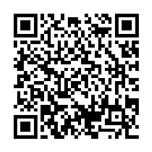 想到此前发现的那一大片倒伏的荒草和许多青壮的脚印二维码生成