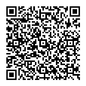 想到此处 他脚步一抬 但见时空转动 那一脚 好似跨越了空间 当出现的时候 似乎已经不再这棵修真星之上二维码生成