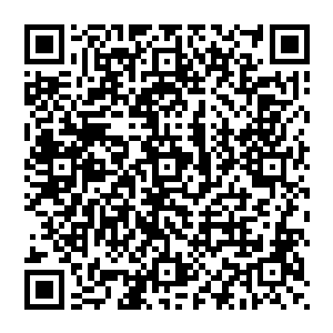 想到苏美这丫头会这样不计后果明明过不表露身份但却还当众人面这样做这简直就在给自己拉仇恨啊二维码生成