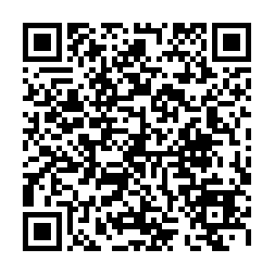 想当初自己可是用了一颗不死草才换来莫释君将宝器峰的炼器术传给了林绯虞二维码生成