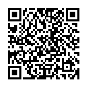 想必修为既和我们相仿又类同的天下妖修难以找到其他相符的二维码生成