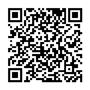 想必即便是稍稍添加的便便也绝对是最新鲜的取材……二维码生成