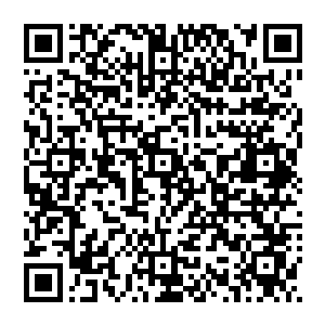 想必强迫周旭正拿出恒阳实验室过去六年间做过的所有实验数据进行评估……周旭正也没有丝毫拒绝的余地二维码生成