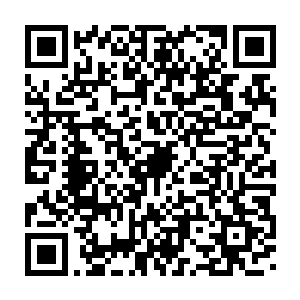 想必还一直等着梦老二和梦老三寻找到毒兽世界的死结界的封印吧二维码生成