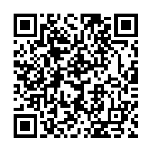 想把正搭在巨型块茎尸兄舞动的大树梢头的白小飞一把抓住二维码生成