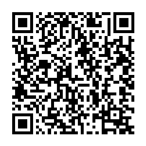 想是刚才他们和摊主的谈话都让雨族族长和这个地灵族族长听到了二维码生成