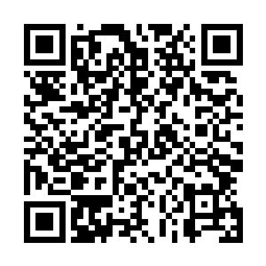 想杀白昊的客户已经把价码从以前的五百万提升到了两千万二维码生成