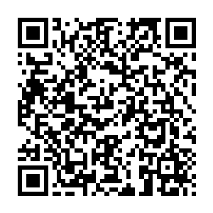 想来壁虎尸兄肯定用尾巴将手榴弹击出了很远--它连挨了几枚手榴弹二维码生成