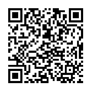 想来您一定还记得当初李月茹门下那个在比斗大会上赢得第一名二维码生成