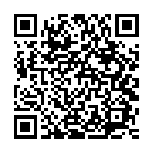 想灭也找不到你们・再说你们许家已经失去了对大罗天的威胁二维码生成