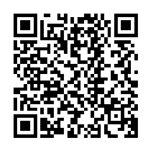 想着这几次任务自己所表现出来的违逆这个世界所有纲常的举动二维码生成