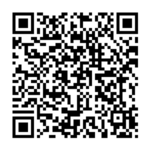 想要从他们的面部表情窥探到他们的内心世界是一件极不容易的事情二维码生成