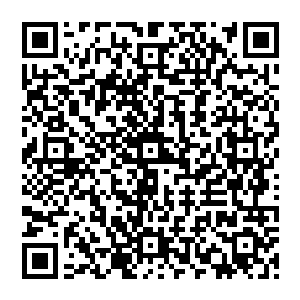 想要从无尽海域打开虚空　你得从我水晶宫进去　这也是为何鬼冥前辈会叫你与我一起的原因　二维码生成