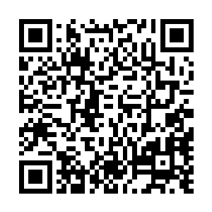 想要在圣域小圆满境界暴涨提升的一重又一重那是不可能的二维码生成