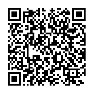 想要在遇到通病的时候不会因为某一个医道类型没有领悟而无法治疗二维码生成