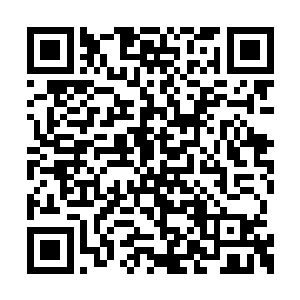 想要对付诸葛世家就会是一件更加困难的事情了二维码生成