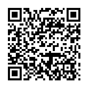 想要把自己的情绪传递给眉头微拧的他――他甚至还在卷着意面二维码生成
