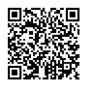 想要提升战争城堡的界也只有等到他们回来之后再说二维码生成