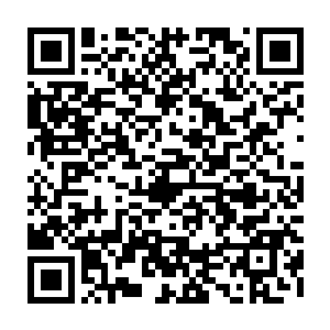 想起前几日褚璇玑所言的天机门易容术修炼至顶级可以修改骨骼状况一事二维码生成