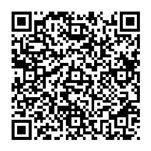想起种种往事 他拳头握得紧紧地 肌肤上青筋鼓荡 显然是正忍受这无与伦比的痛苦二维码生成