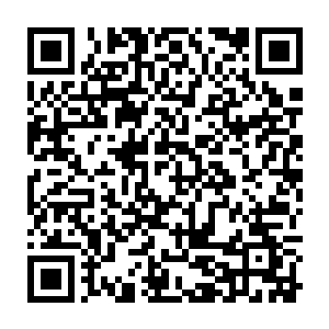 想起脸sè骤然变得有些黯淡却又强撑着不让自己垮下去的苏燕青那张俏脸二维码生成