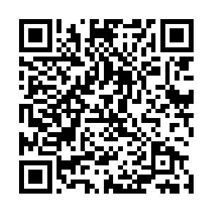 想起自己还小的时候经常被墨修尧揍得满身是伤却不肯敷药二维码生成