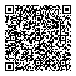 想起虚空的三件残缺道器　他再也不犹豫　尸王血脉的额吞噬炼化功能发动　他背后出现一尊巨大的犼尊影响　张开大口直接将其吞噬二维码生成