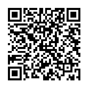 意志和诸多可说与不可说的状态上全方位的压制与俯视二维码生成