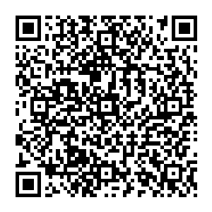 意思大概就是荣书记的意思黄金三角地区的主要领导还是要用在经济工作上有所建树和良好业绩二维码生成