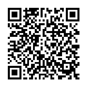 感受一下自己这三天给秦非的丹药果然已经开始在门内流动了二维码生成
