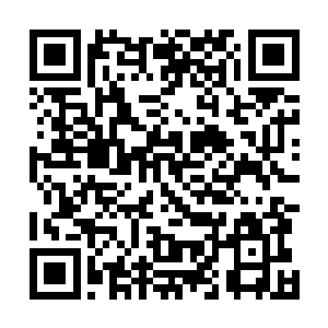 感受了太阳的温暖的海族也开始模仿其他种族的作息时间二维码生成