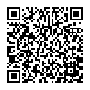 感受到了熟悉的气息--她在h市军方秘密基地再熟悉不过的气息--尸兄的气息二维码生成