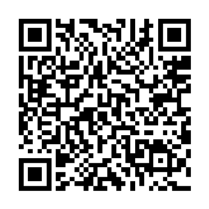 感受到体内几乎暴动的的截然相克的真气和煞气拧在了一块二维码生成