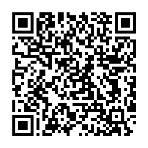 感应到生死危机的罗浮仙帝已经以最快的速度从空间戒指里掏出一物二维码生成