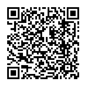 感觉又回到了他在野狼追击下第一次跳进那个深不见底的噬金蟒洞穴的感觉……二维码生成