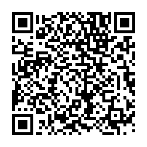 感觉咬住她的那什么虫在动荡的一刹那几乎将她的肉都给硬生生撕咬了下去二维码生成